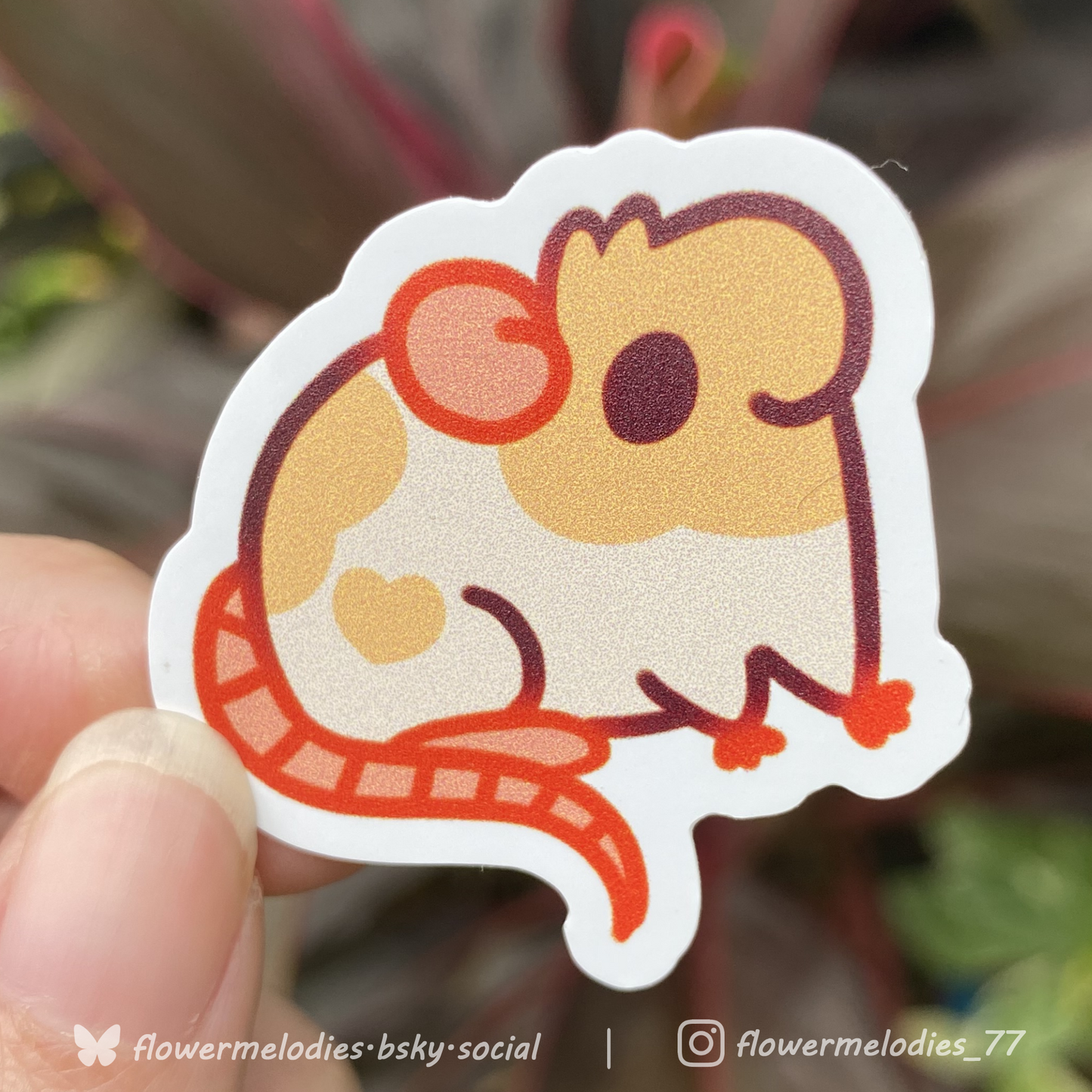 Rat sticker - Two tone cream