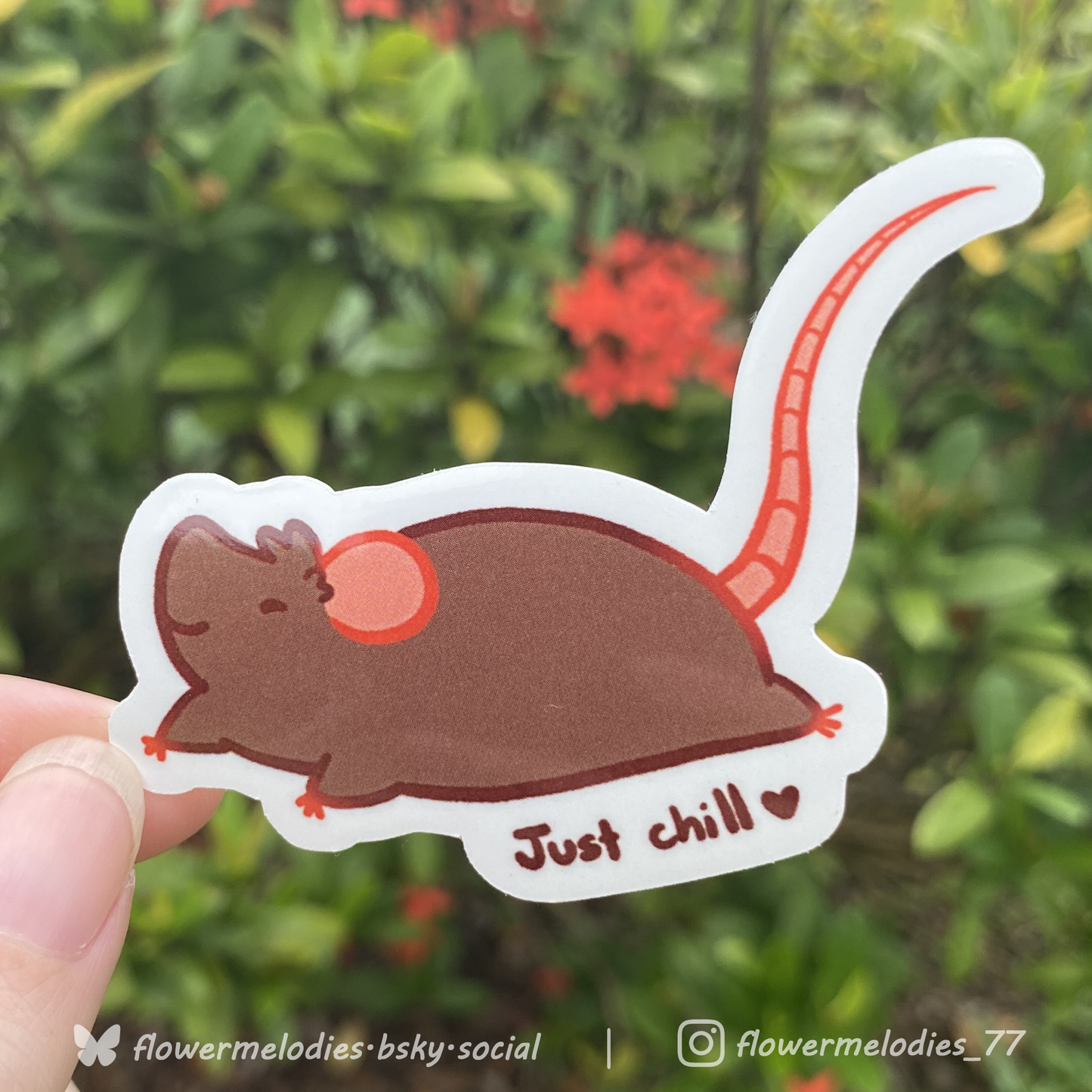 Just chill rat sticker - Brown
